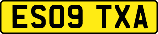 ES09TXA
