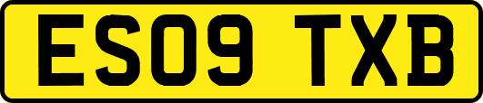 ES09TXB