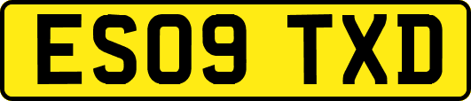 ES09TXD