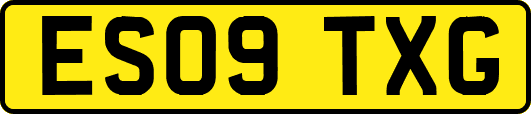 ES09TXG