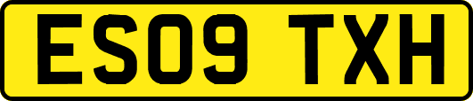 ES09TXH