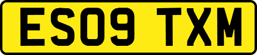 ES09TXM