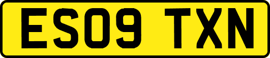ES09TXN
