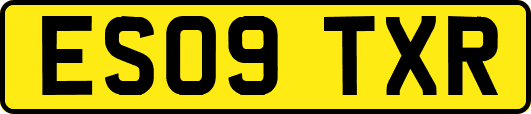 ES09TXR
