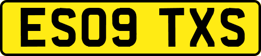 ES09TXS