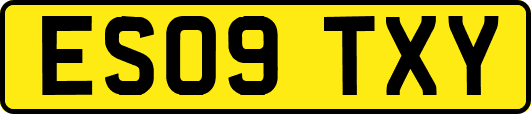 ES09TXY
