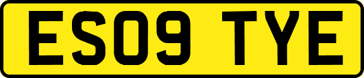 ES09TYE