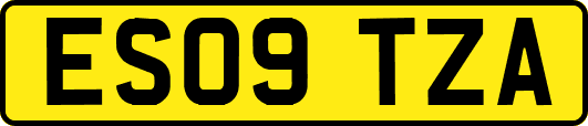 ES09TZA