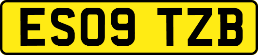 ES09TZB