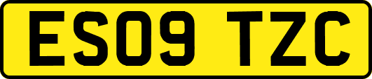 ES09TZC