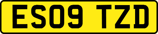 ES09TZD