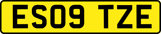 ES09TZE