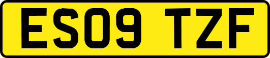 ES09TZF