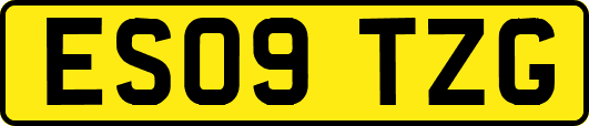 ES09TZG