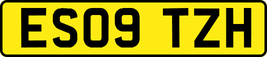 ES09TZH