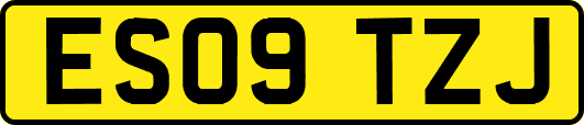 ES09TZJ