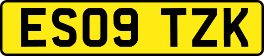 ES09TZK