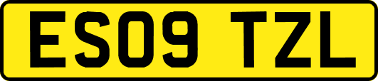 ES09TZL