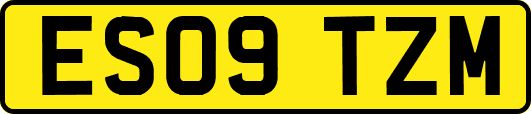 ES09TZM