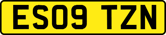 ES09TZN