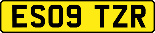 ES09TZR