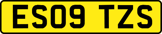 ES09TZS
