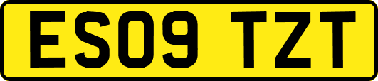 ES09TZT