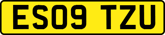ES09TZU