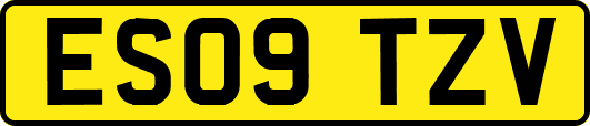 ES09TZV