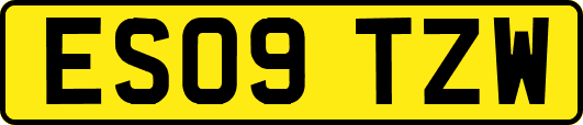 ES09TZW