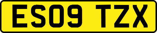 ES09TZX