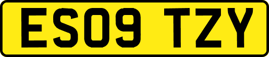ES09TZY