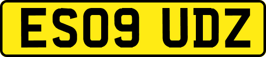 ES09UDZ