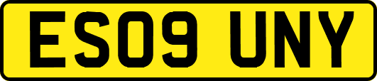 ES09UNY
