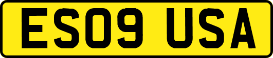 ES09USA