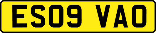 ES09VAO