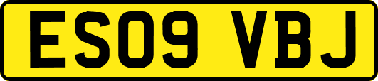 ES09VBJ