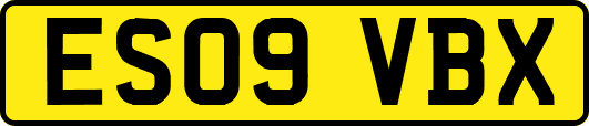 ES09VBX