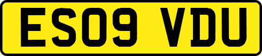 ES09VDU