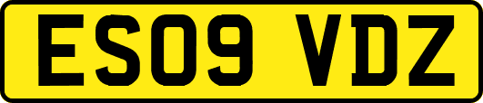 ES09VDZ