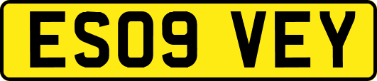 ES09VEY