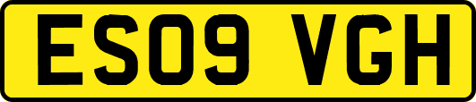 ES09VGH