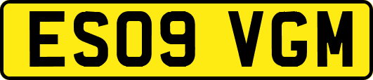 ES09VGM
