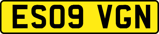 ES09VGN
