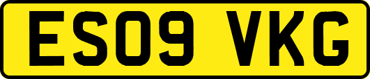 ES09VKG