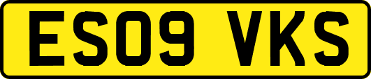 ES09VKS