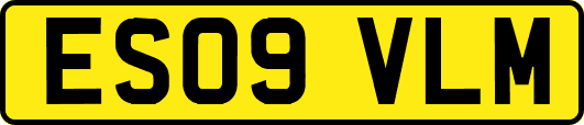 ES09VLM