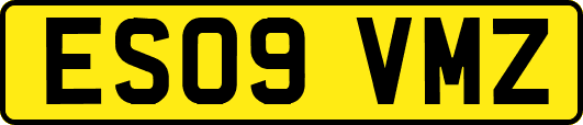ES09VMZ