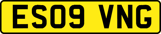 ES09VNG