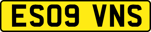 ES09VNS